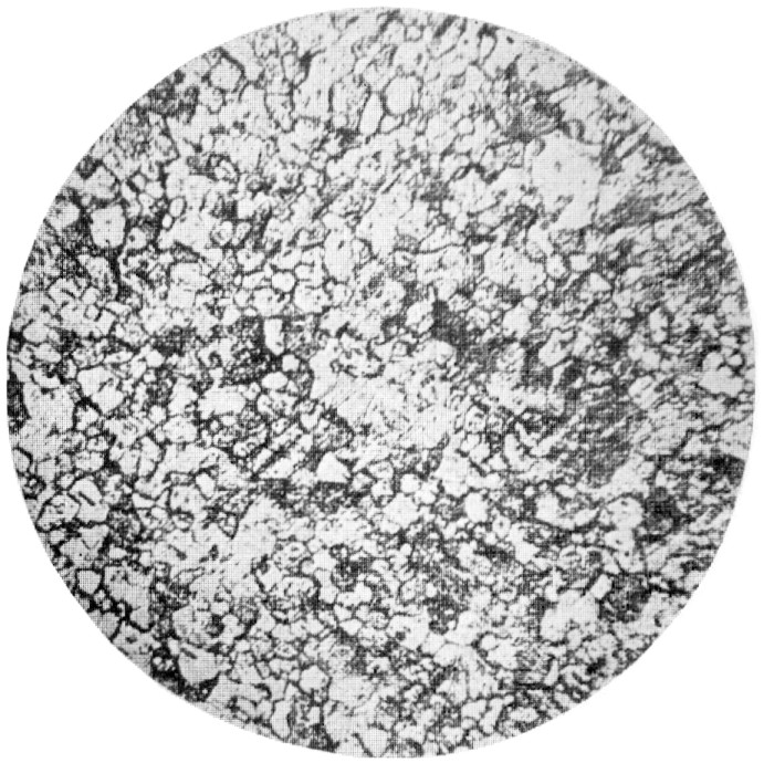 Antique & Vintage Light Bulb Collection Museum History Of The Incandescent Lamp By